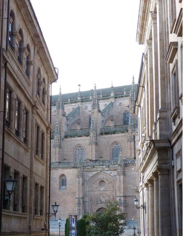 Las Catedrales De Salamanca Bilik gambar