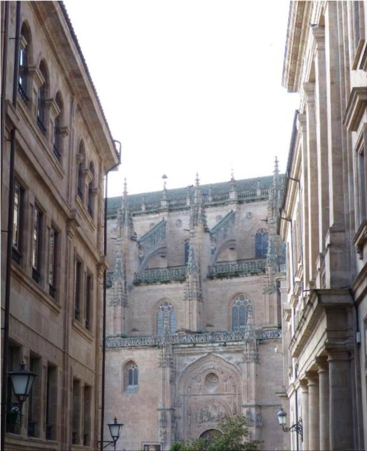 Las Catedrales De Salamanca Luaran gambar