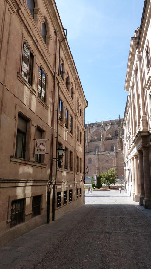 Las Catedrales De Salamanca Luaran gambar